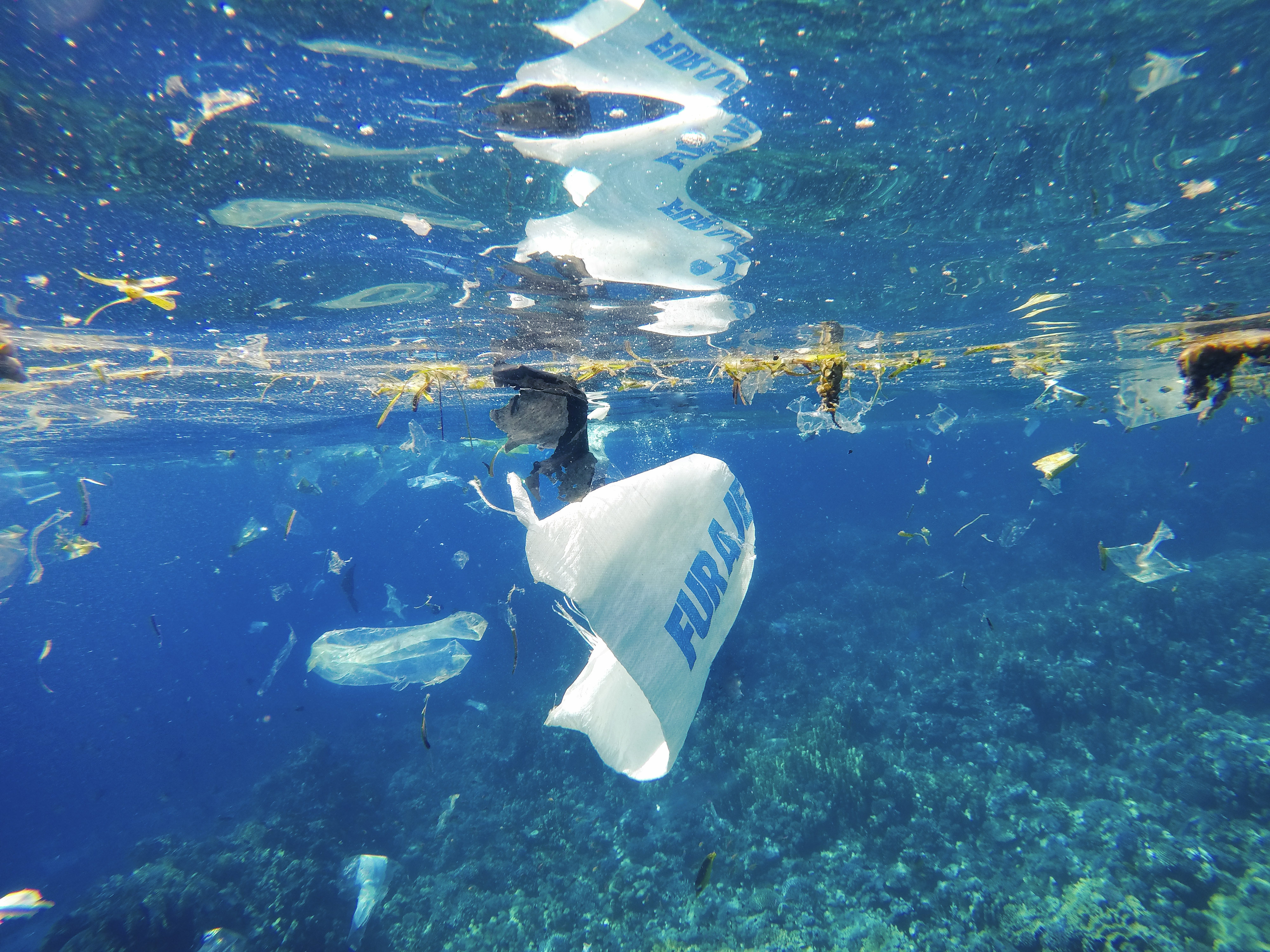NGOS ALONE WILL NOT TURN THE TIDE ON OCEAN TRASH
