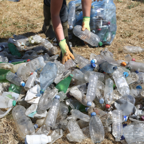 LONDONERS CONDUCT MASS CENSUS OF PLASTIC BOTTLES ALONG RIVER THAMES IN THE WAKE OF SUMMER HEATWAVE